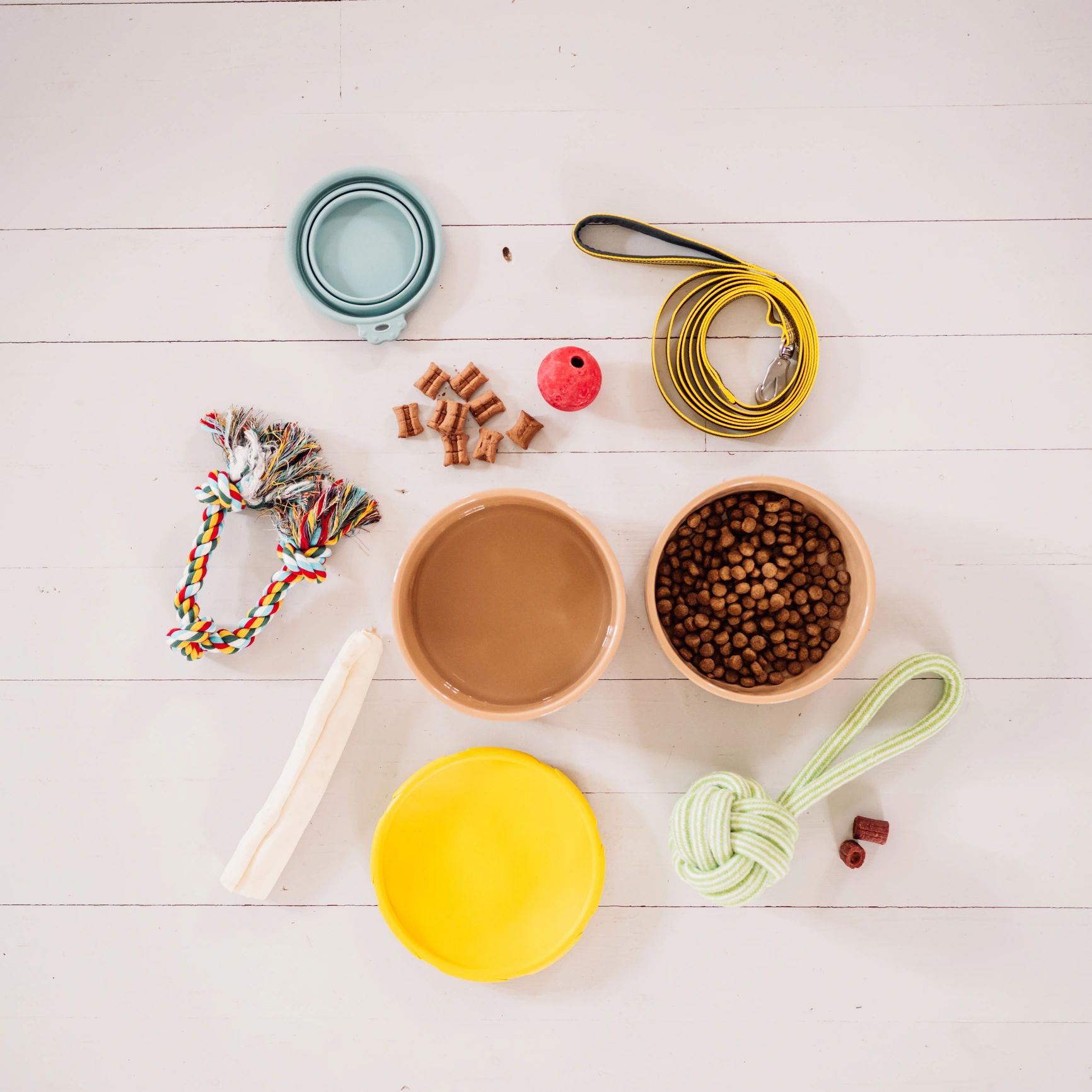 Everything for the dog flat lay of dog accessories equipment