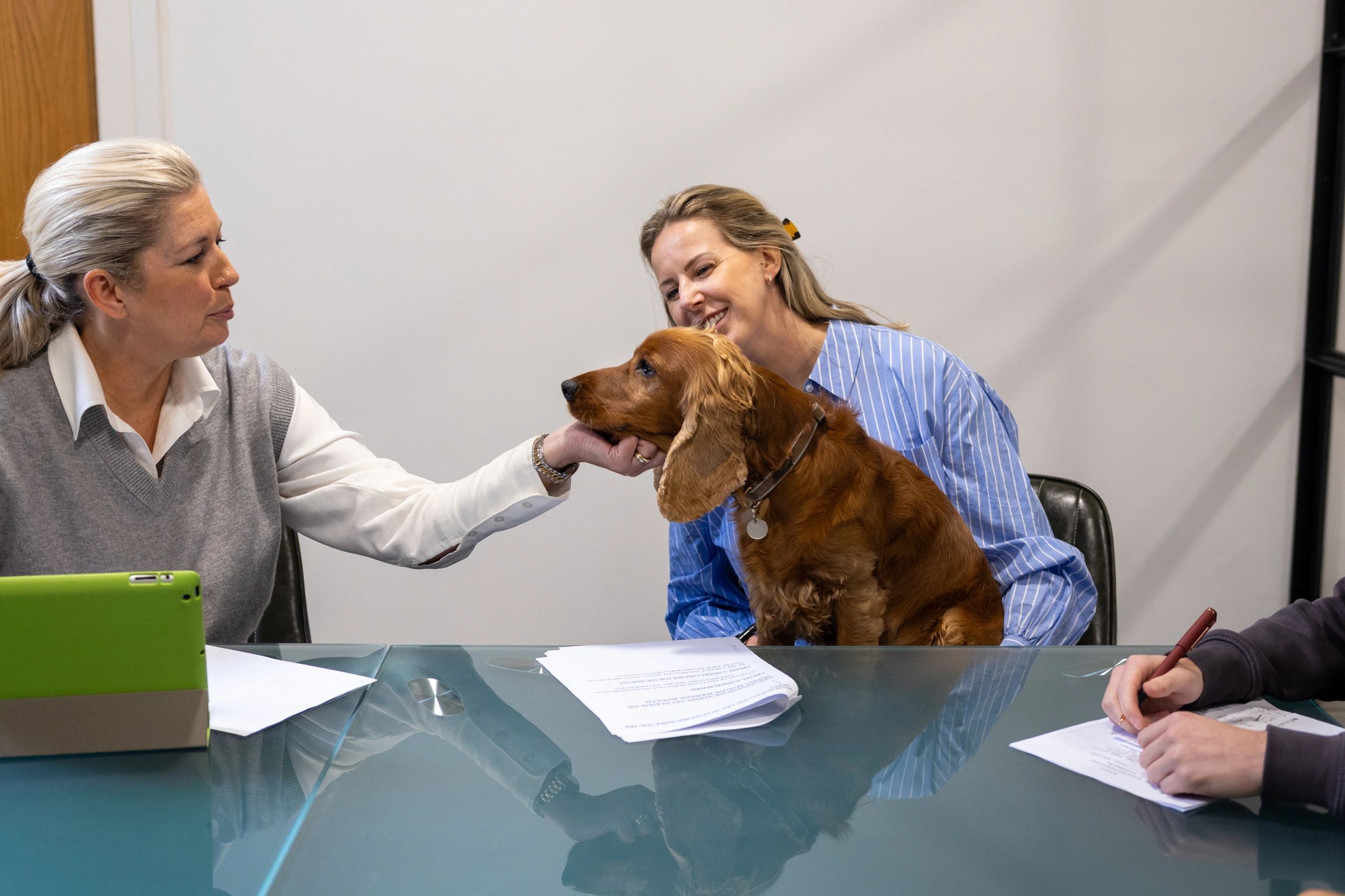 Professionals collaborating with a dog in a modern workspace
